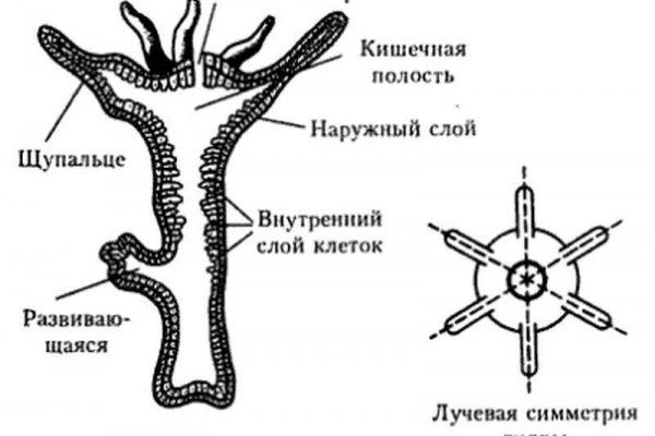 Kraken shop ссылка