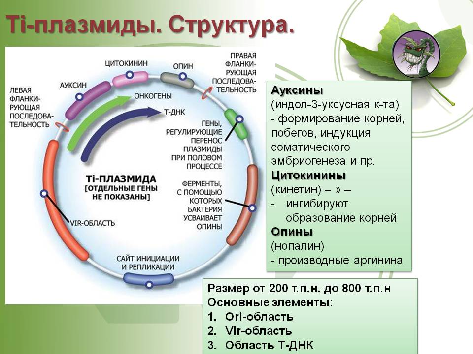 Доступ кракен